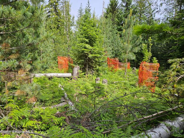 109 Geronimo Lane, Sandpoint, ID 83864