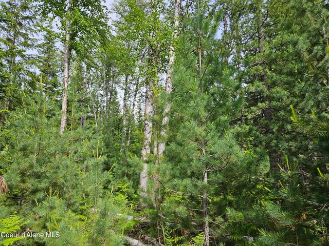 109 Geronimo Lane, Sandpoint, ID 83864