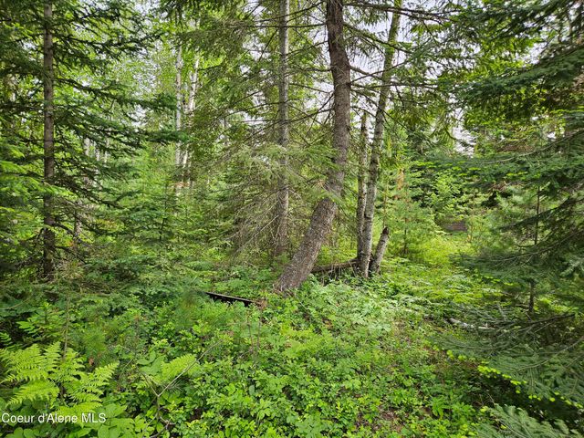 109 Geronimo Lane, Sandpoint, ID 83864