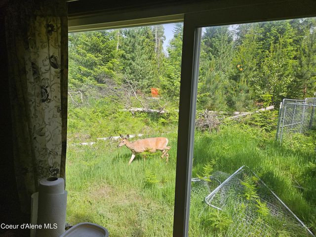 109 Geronimo Lane, Sandpoint, ID 83864