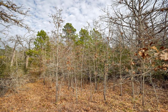 148 Pine Valley DR, Paige, TX 78659