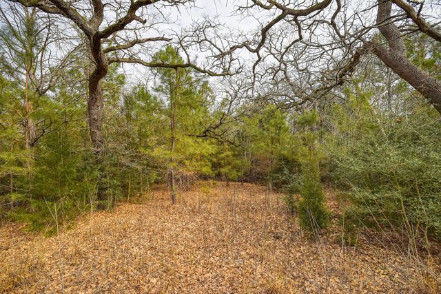 148 Pine Valley DR, Paige, TX 78659