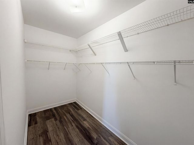 403 Eagle Claw Court, Chapin, SC 29036