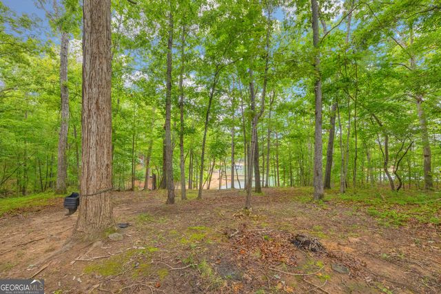 26 Chief Lane, Hartwell, GA 30643