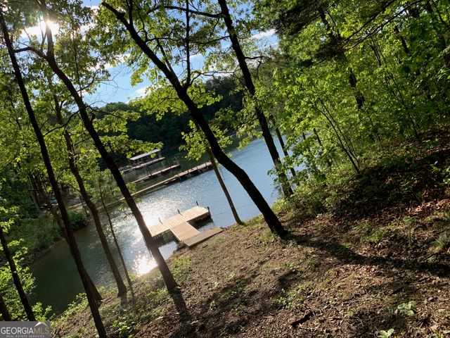 26 Chief Lane, Hartwell, GA 30643