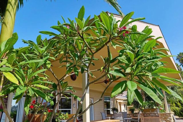 20125 Colina Encantada Way, Escondido, CA 92029
