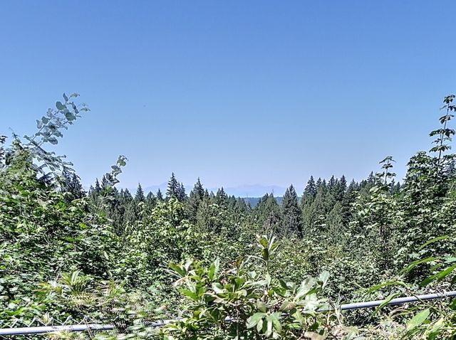 91 E Blue Heron Rest, Belfair, WA 98528