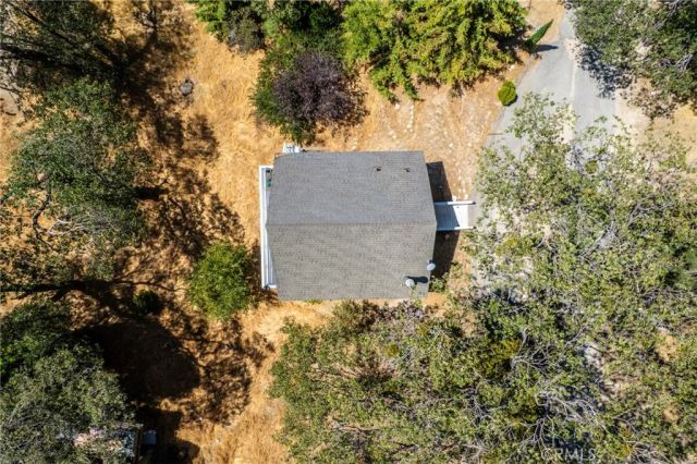 29199 Lake Brook, Cedar Glen, CA 92321