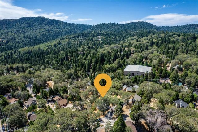29199 Lake Brook, Cedar Glen, CA 92321
