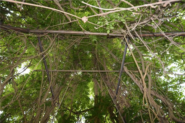 1215 Rush Scottsville Road, Rush, NY 14543