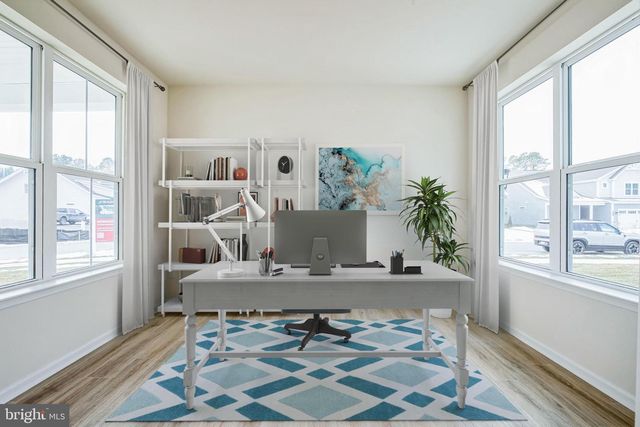 35242 DUCK HAVEN RD, Selbyville, DE 19975