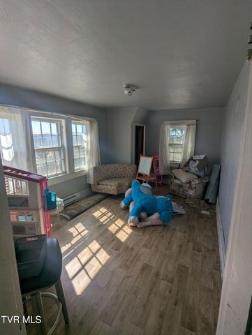 1717 Lafayette Street, Greeneville, TN 37745