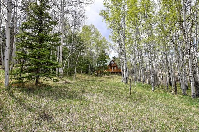 454 Eagle Rock Road, Florissant, CO 80816