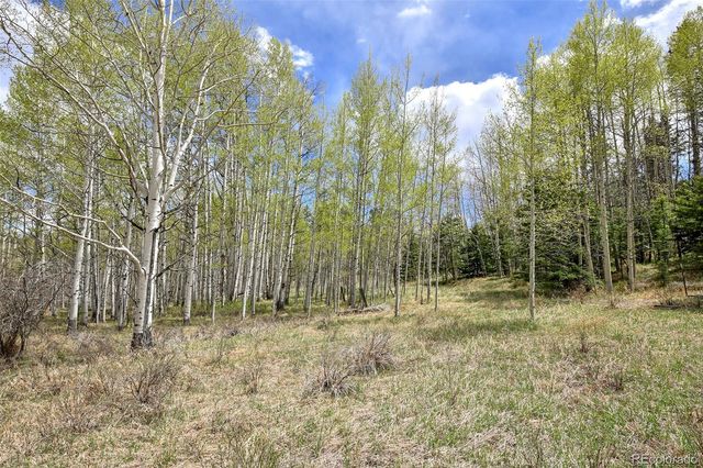 454 Eagle Rock Road, Florissant, CO 80816