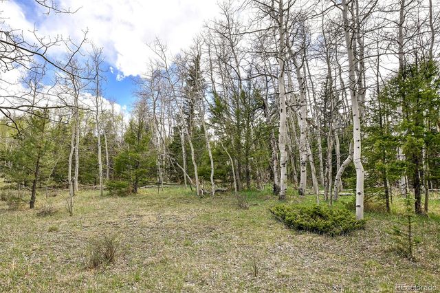 454 Eagle Rock Road, Florissant, CO 80816