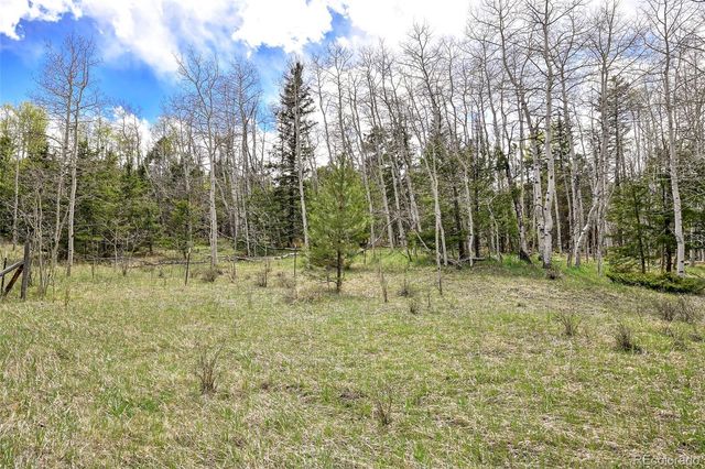 454 Eagle Rock Road, Florissant, CO 80816