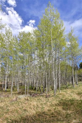 454 Eagle Rock Road, Florissant, CO 80816