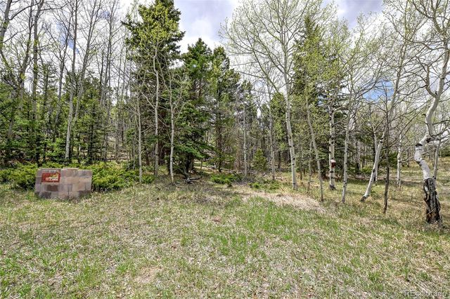 454 Eagle Rock Road, Florissant, CO 80816