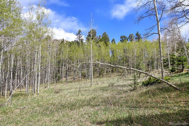 454 Eagle Rock Road, Florissant, CO 80816