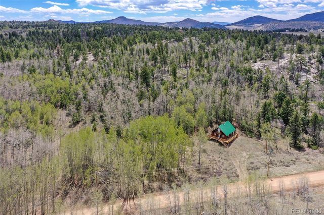 454 Eagle Rock Road, Florissant, CO 80816