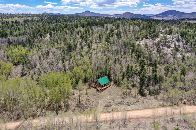 454 Eagle Rock Road, Florissant, CO 80816