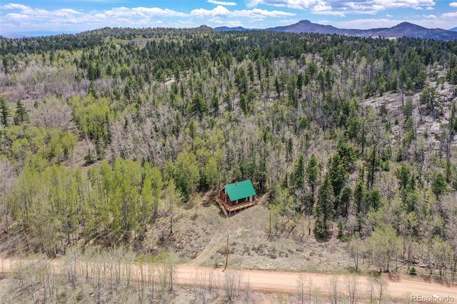 454 Eagle Rock Road, Florissant, CO 80816
