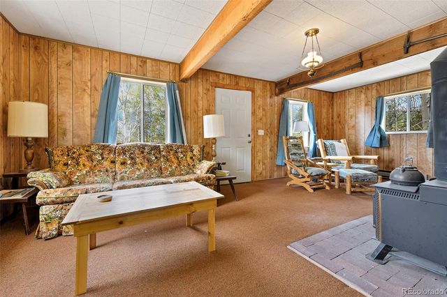 454 Eagle Rock Road, Florissant, CO 80816