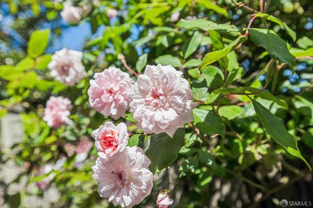 162 Richland Avenue Garde, San Francisco, CA 94110