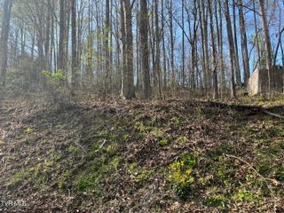 Tbd Wedgewood Road, Big Stone Gap, VA 24219