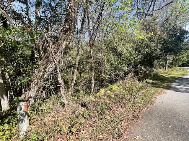 0 SOUTHWOOD COURT, New Port Richey, FL 34654