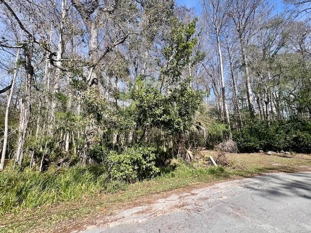 0 SOUTHWOOD COURT, New Port Richey, FL 34654