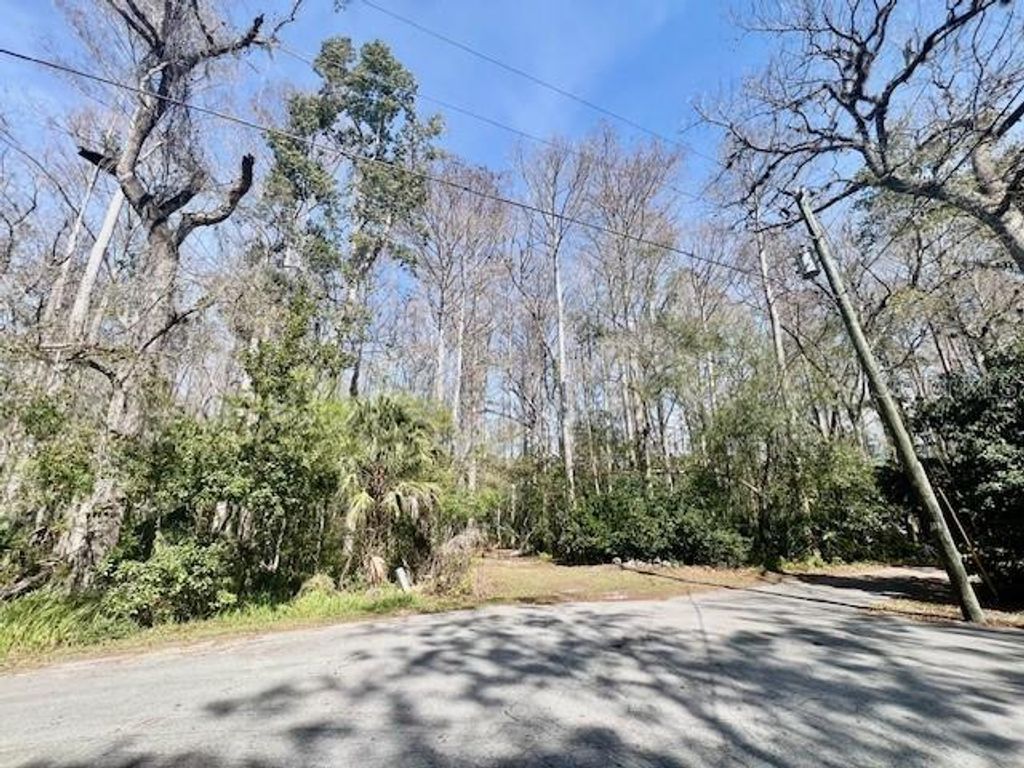 Image 1 of property listing at 0 SOUTHWOOD COURT, New Port Richey, FL 34654