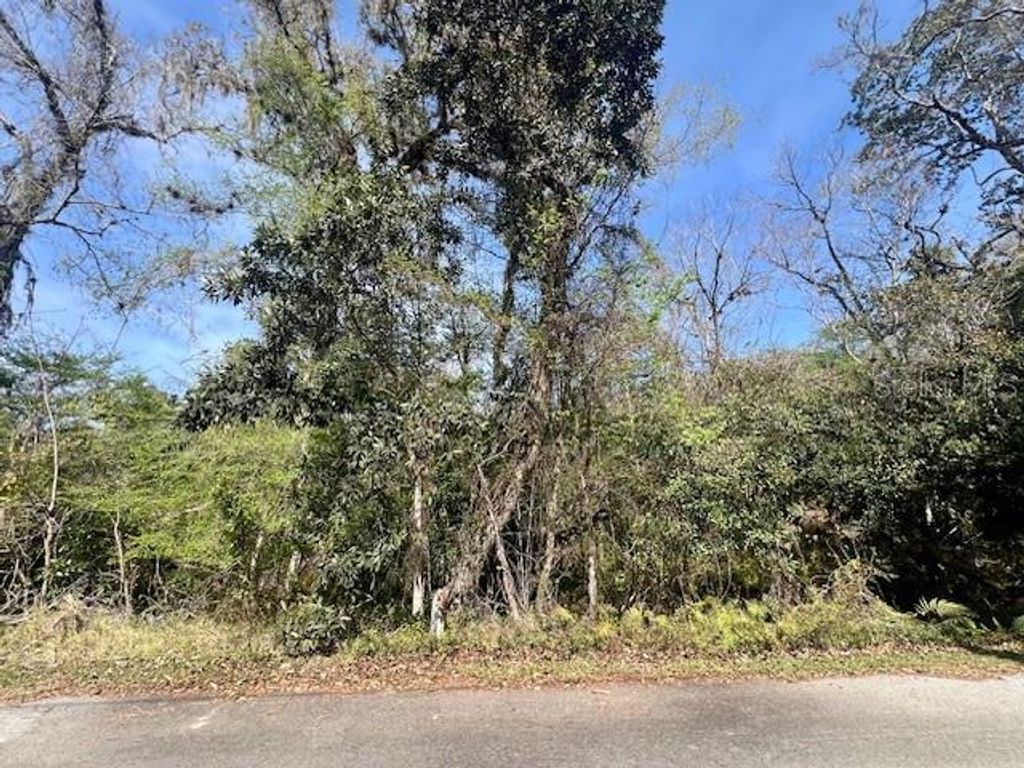 Image 13 of property listing at 0 SOUTHWOOD COURT, New Port Richey, FL 34654