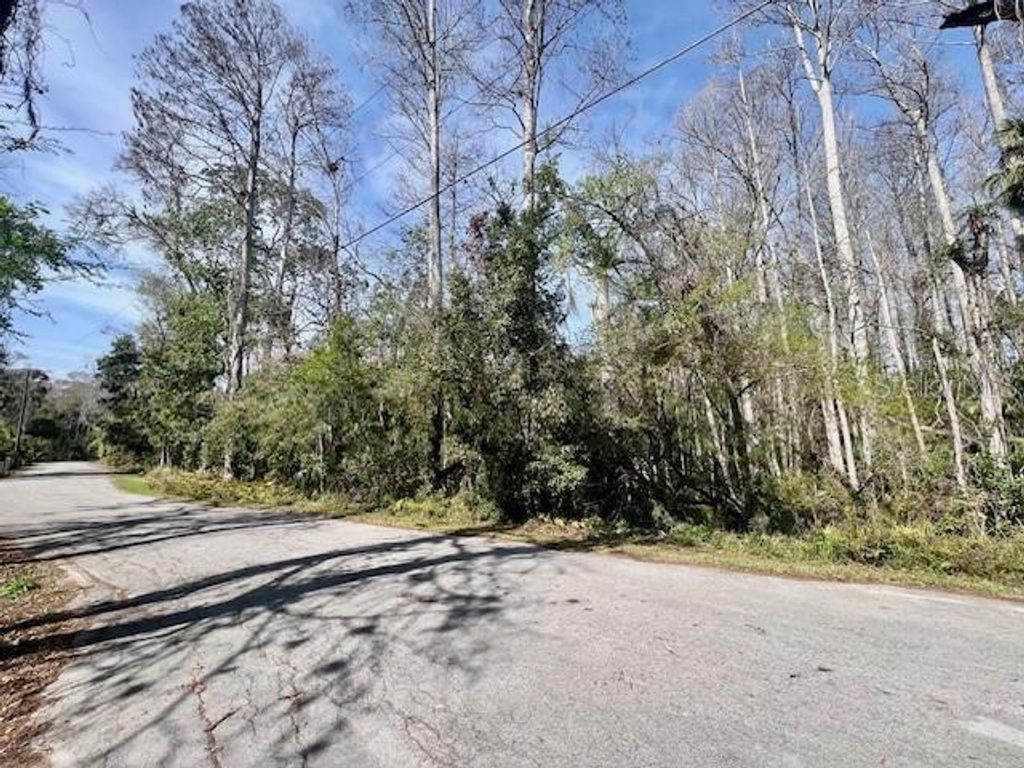 Image 8 of property listing at 0 SOUTHWOOD COURT, New Port Richey, FL 34654