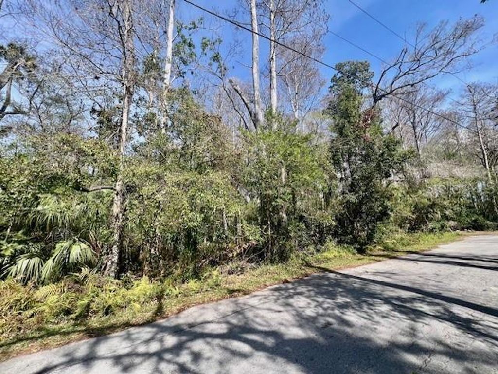 Image 10 of property listing at 0 SOUTHWOOD COURT, New Port Richey, FL 34654