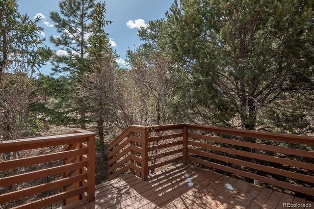 15194 Heywood Ln, Nathrop, CO 81236
