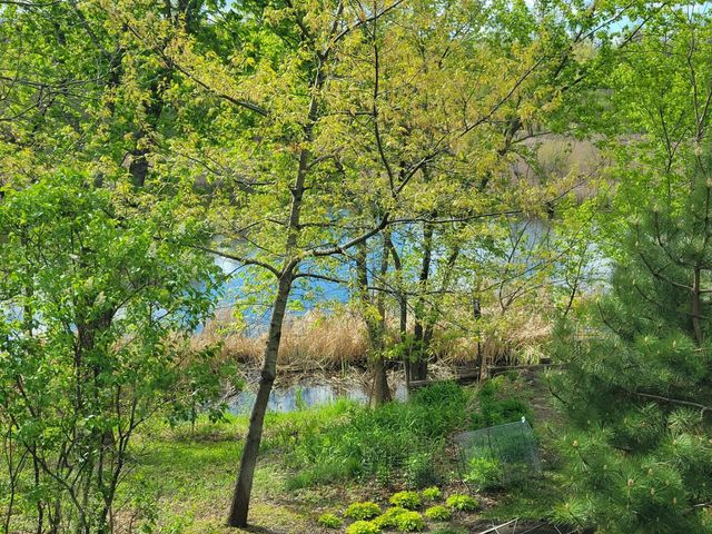 11516 172nd Street W, Lakeville, MN 55044