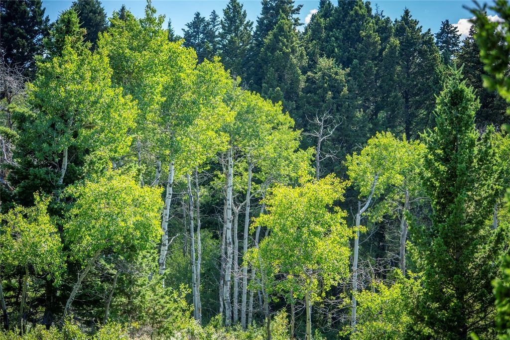 TBD Livingston Peak Road, Livingston, MT 59047
