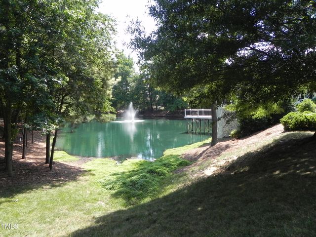216 Castle Hayne Drive, Cary, NC 27519