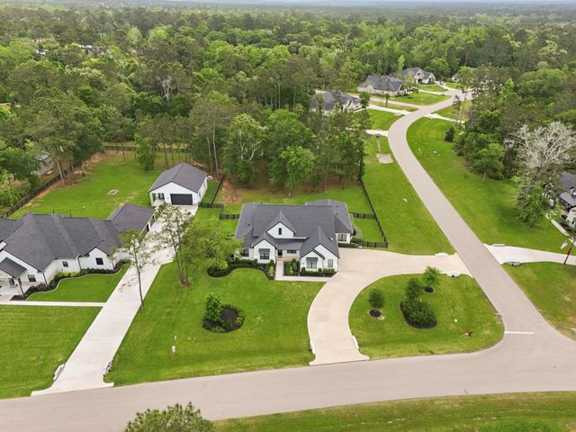 25655 High Meadow Preserve Drive, Magnolia, TX 77355