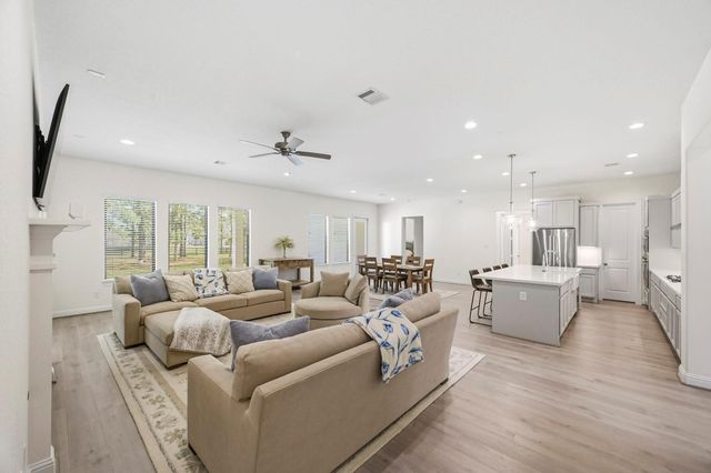 25655 High Meadow Preserve Drive, Magnolia, TX 77355