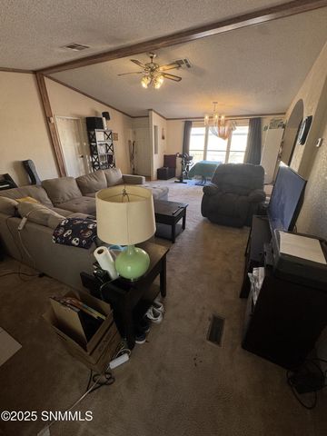 1450 Branding Iron Circle, Las Cruces, NM 88005