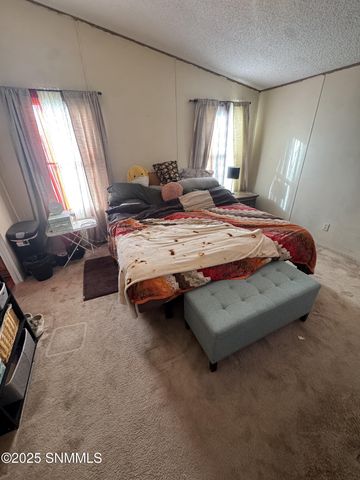 1450 Branding Iron Circle, Las Cruces, NM 88005