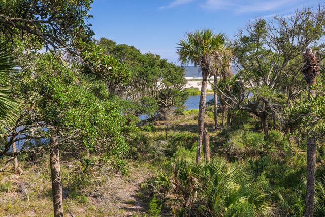 411 Pelican Flight Drive, Dewees Island, SC 29451