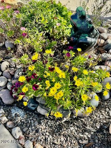 369 S Taylors Trail --, Sierra Vista, AZ 85635