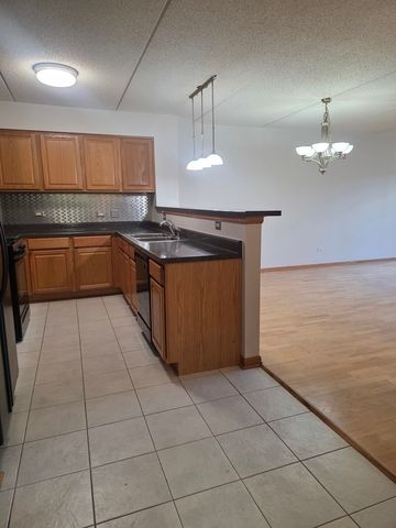 6559 W George Street 202, Chicago, IL 60634