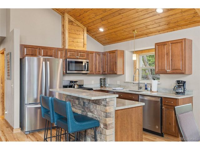 181 Valley Of The Sun Dr, Fairplay, CO 80440
