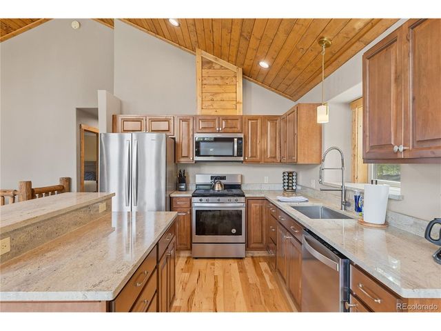 181 Valley Of The Sun Dr, Fairplay, CO 80440