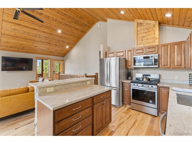 181 Valley Of The Sun Dr, Fairplay, CO 80440