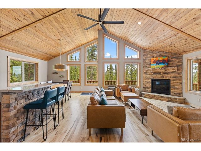 181 Valley Of The Sun Dr, Fairplay, CO 80440